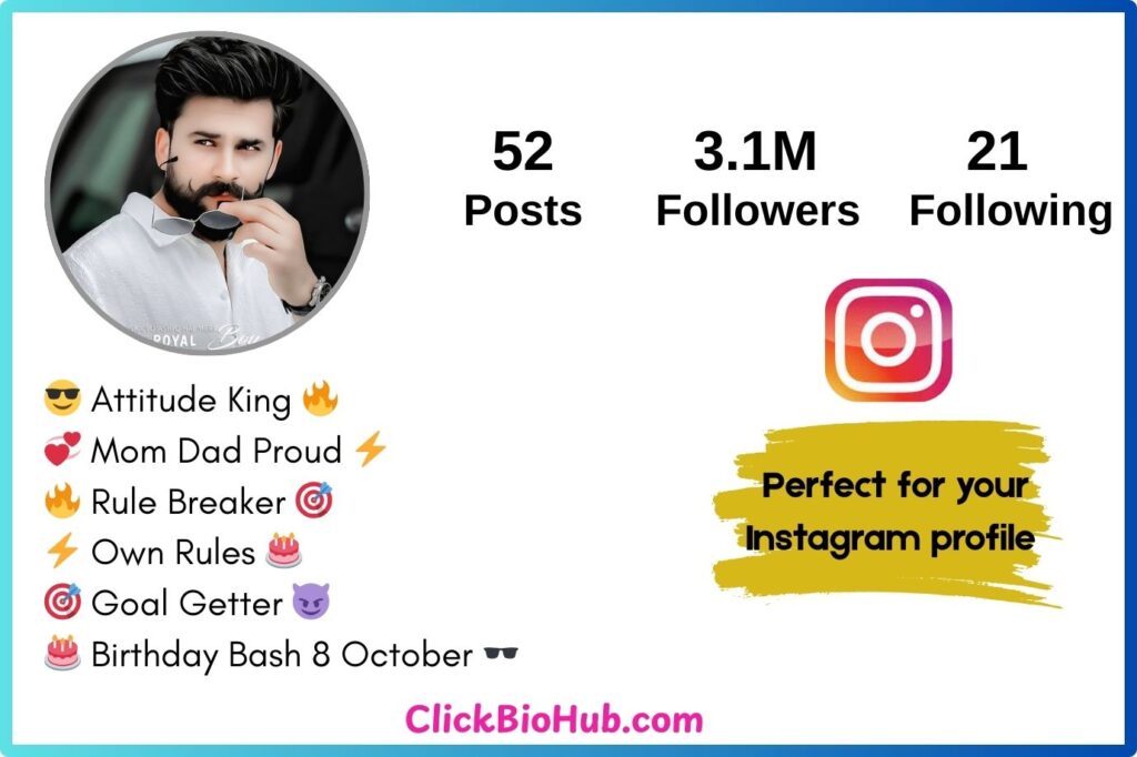 Stylish Instagram Bio for Boys